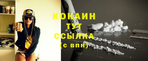 дживик Бородино