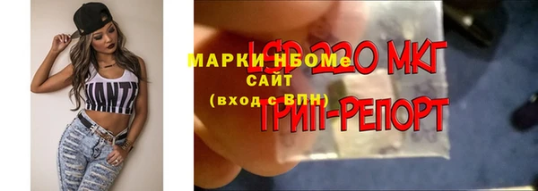 дживик Бородино