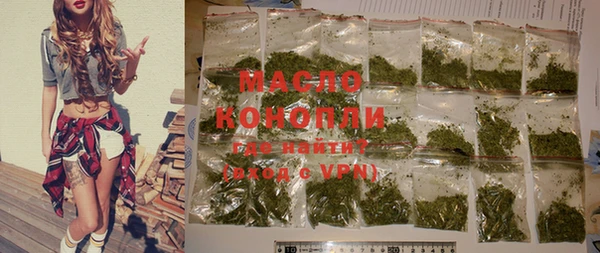 дживик Бородино