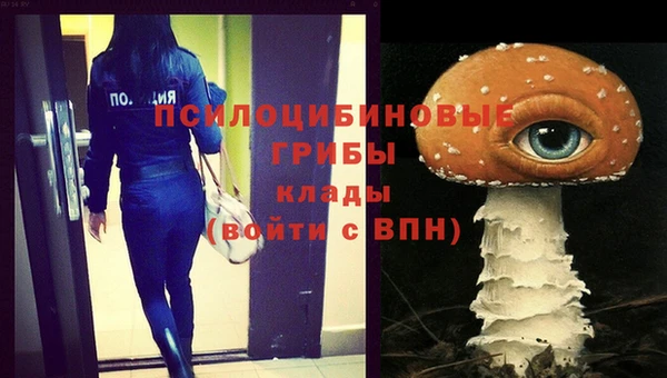 дживик Бородино