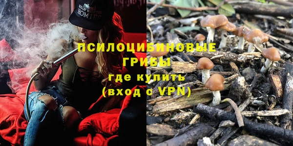 стаф Бронницы