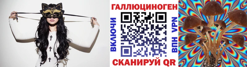 Псилоцибиновые грибы MAGIC MUSHROOMS  Великий Новгород 