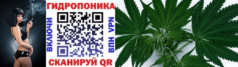 Каннабис марихуана Великий Новгород